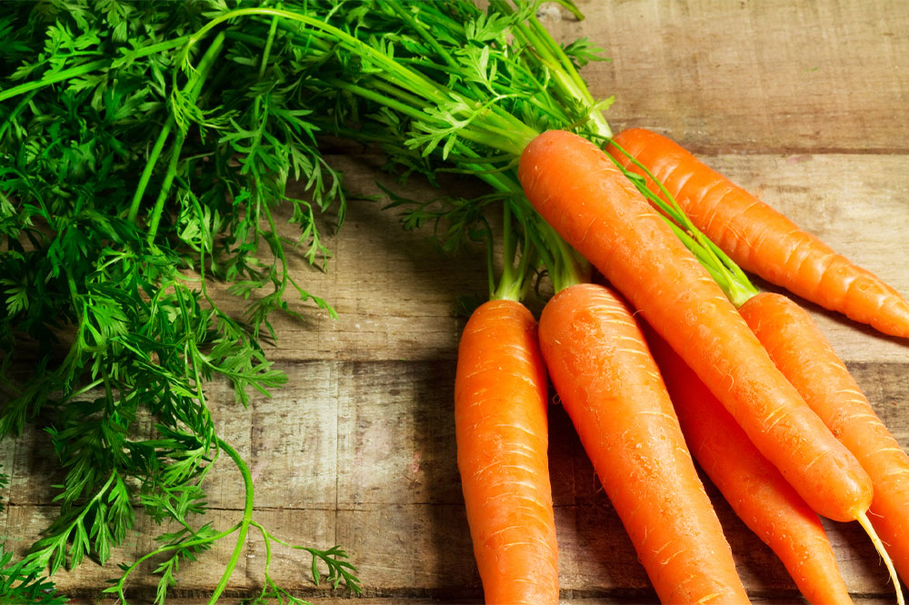 10 Nutritious Foods That Dogs and Humans Can Enjoy