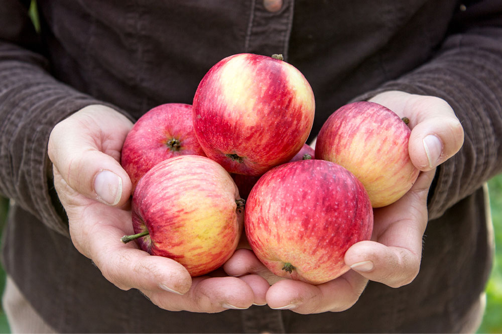 12 Foods That Can Improve Lung Health