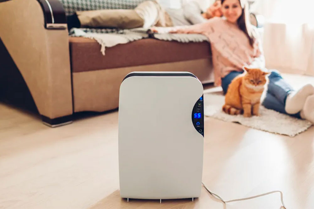 Essential Things to Consider before Buying an Air Purifier