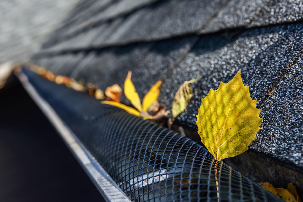 Everything to Know About Gutter Guards