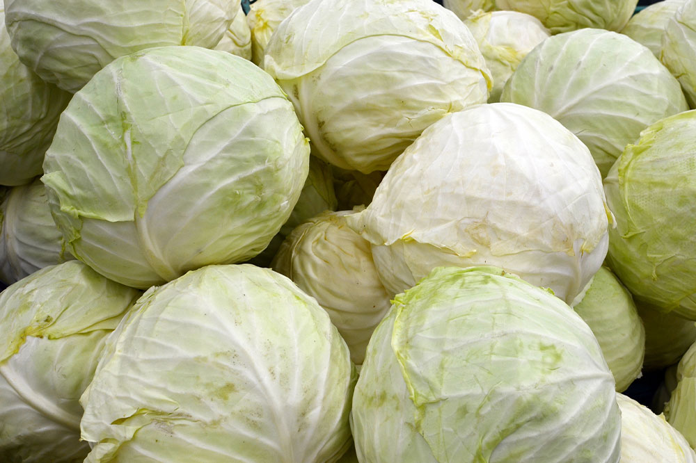 Foods to Eat and Avoid for Better Kidney Health